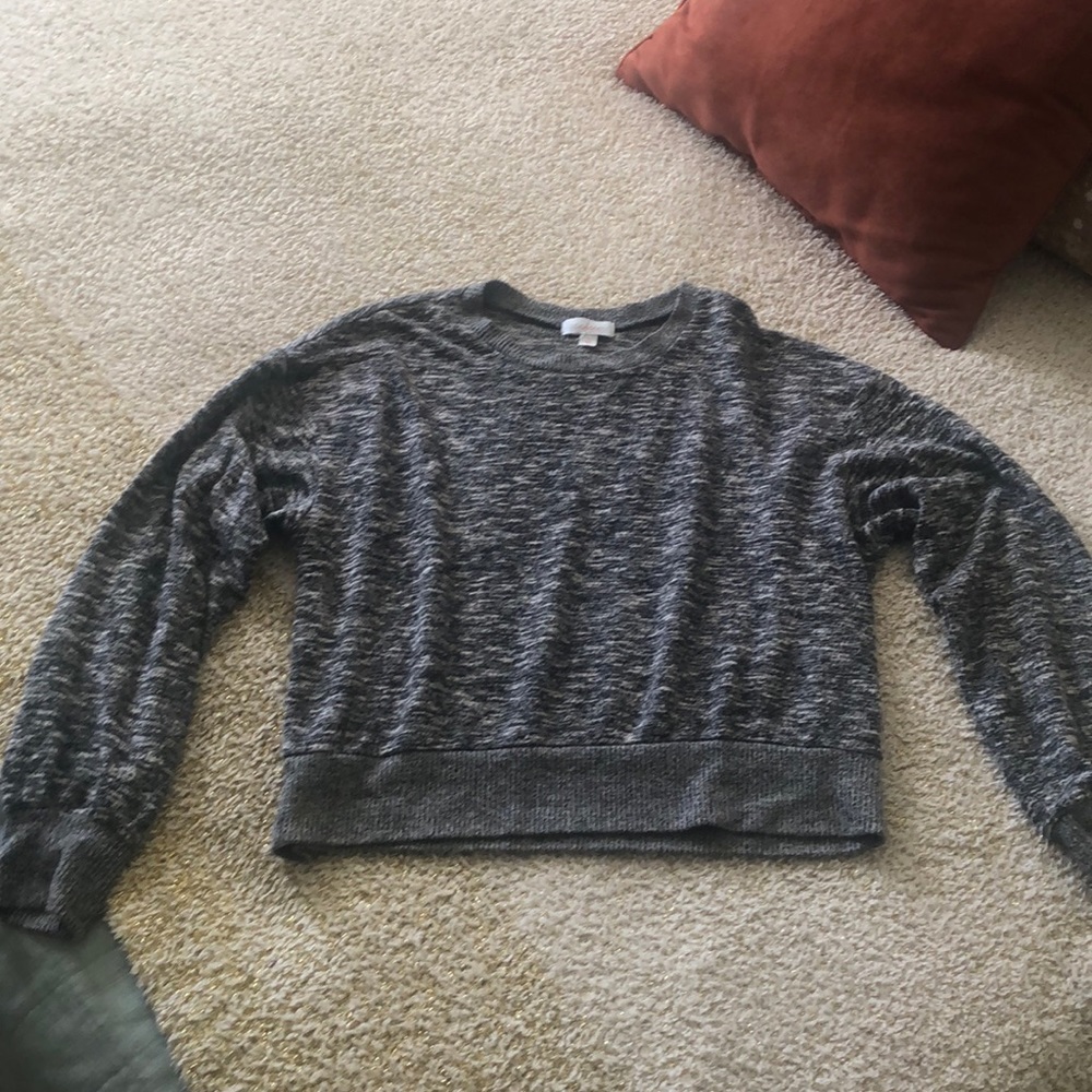 Gray Colsie Cropped Sweater